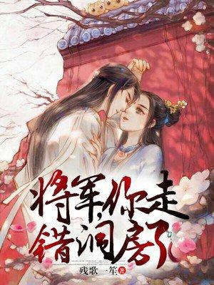 第一章将军我错了
