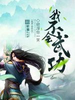我不会武功 4