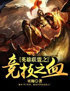 英雄联盟竞技之血这本书