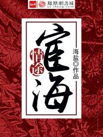 宦海情途完整版收费