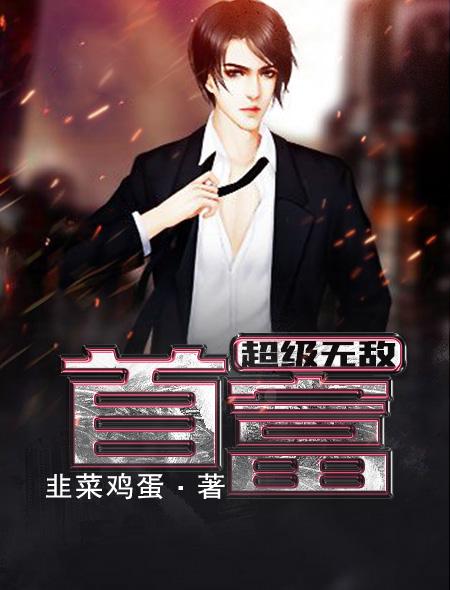 超级无敌女婿免费全本