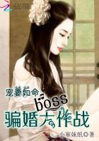 宠妻如命无错码