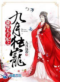 盛宠太子妃书籍