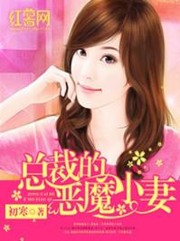总裁的恶魔小妻剧情简介内容