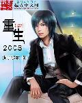 重生2008从欧洲杯开始