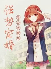 强势宠婚老公晚上好全文免费阅读