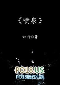 NP) 软件