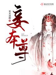 寒光照铁衣翻译