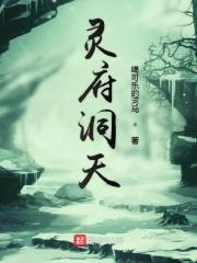 灵府是什么