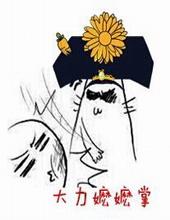大力嬷嬷掌在线阅读