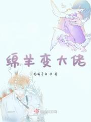 绵羊大佬什么意思