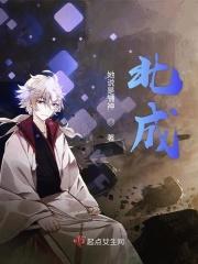 北成电子科技有限公司