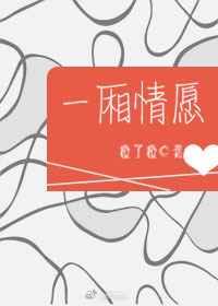 一厢情愿的不舍歌词
