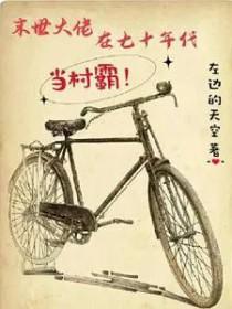 末世大佬在七十年代当村霸评价