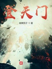 登天门山有缆车吗