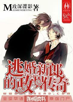 逃婚新郎的政界传奇txt