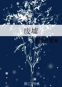 废墟图书馆安吉莉卡