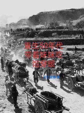 重生50年代带着妹妹吃饱穿暖作者记忆阑珊