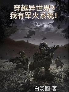 现代军火穿越异界的