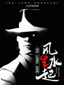 谍战上海滩原著在线阅读