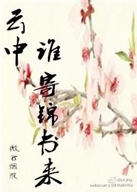 谁寄锦书来老板喝醉第8集免费