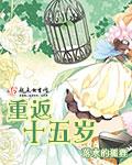 重返十五岁夏凉正版免费阅读