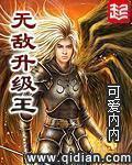 无敌升级王TXT精校版