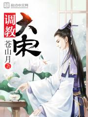 调教大宋 第581章
