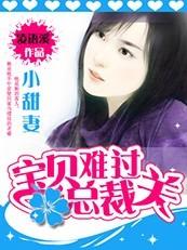 总裁的宝贝贝晓晓