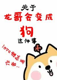 龙哥的vlog
