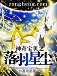 神奇宝贝之落羽星辰顶点