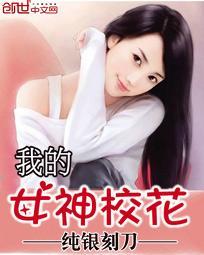 我的女神校花TXT