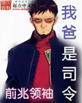 我爸是司令林辉免费阅读