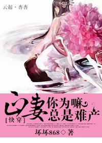 正妻txt
