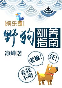 野狗驯养指南 txt
