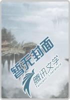 透视小校医女主