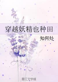 妖精穿越现代娱乐圈