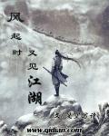 风起时想见你简介