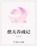 憨夫成龙链接