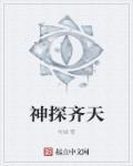神探李奇免费观看