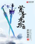紫青龙吟记好看吗