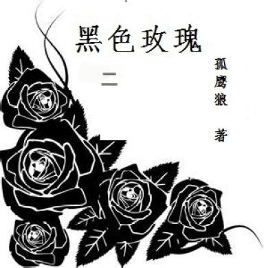黑色玫瑰rose