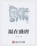 混在大唐的工科宅男起点中文