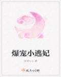 爆宠小萌妃免费阅读全文