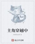 关于主角穿越的