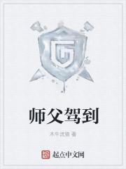 师父驾到全集免费观看