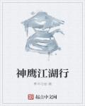神鹰系列电视剧