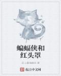 蝙蝠侠·红头罩之下
