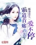 别惹总裁r