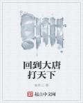 重生之回到大唐打天下
